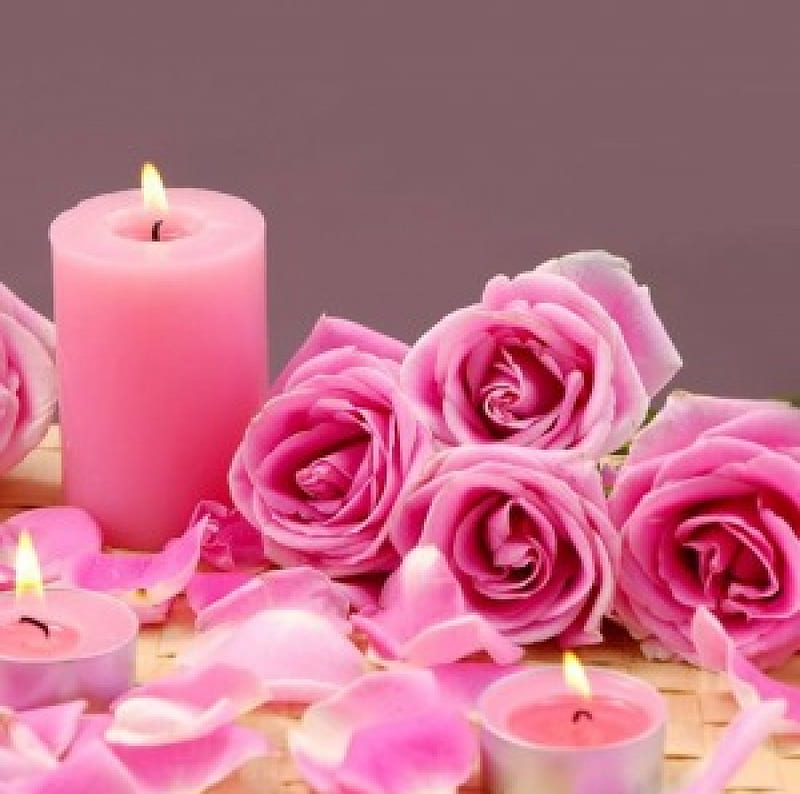 Candle and Pink Roses, candle, petals, roses, pink, HD wallpaper