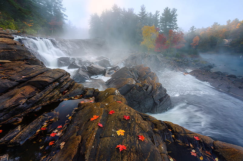 Forest River Waterfall, HD wallpaper