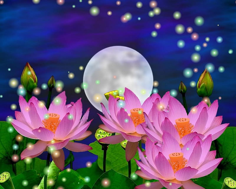 Magic Night, fantasy, moon, 3d, lily pads, summer, flowers, spring, abstract, HD wallpaper