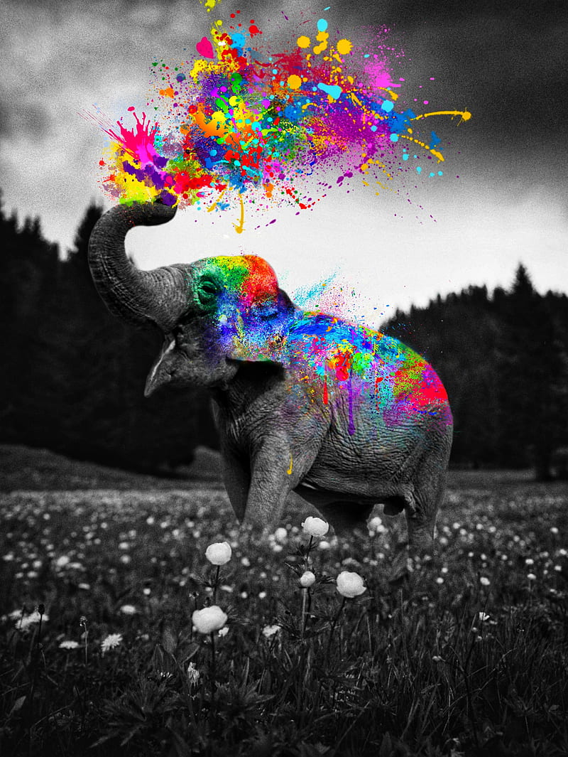 Elephant Color Splash, GEN_Z__, animal, clouds, collage, digital, digital art, digital artist, digital manipulation, herbs, landscape, nature, manipulation, montage, hop, hop art, hop artist, sky, surreal, surreal art, surreal artist, surrealist, trees, HD phone wallpaper