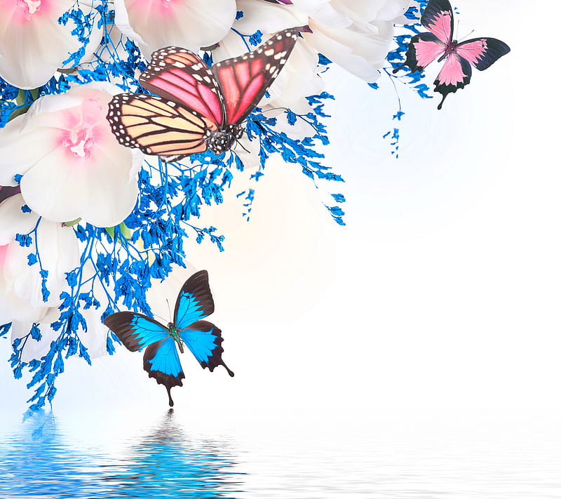 Floral Blossom, bonito, butterflies, colored, florals, flowers, spring, HD wallpaper