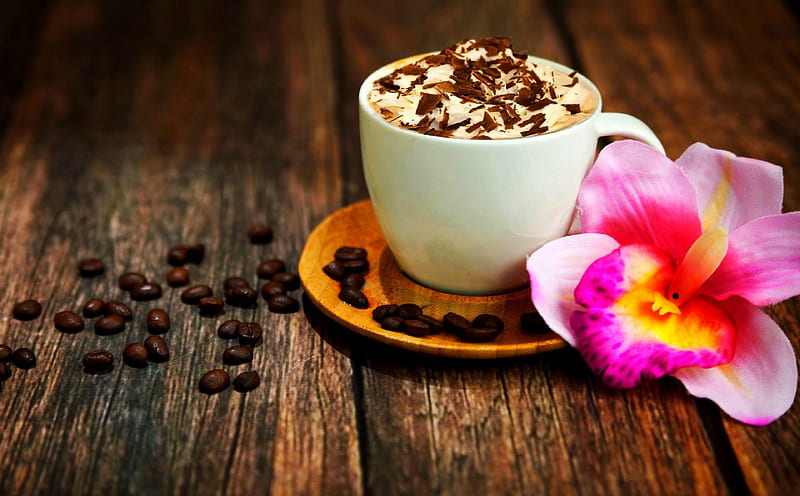 CAPPUCCINO CHOCOLATE, CHOCOLATE, saucer, CAPPUCCINO, beans, flowers, cup, HD wallpaper