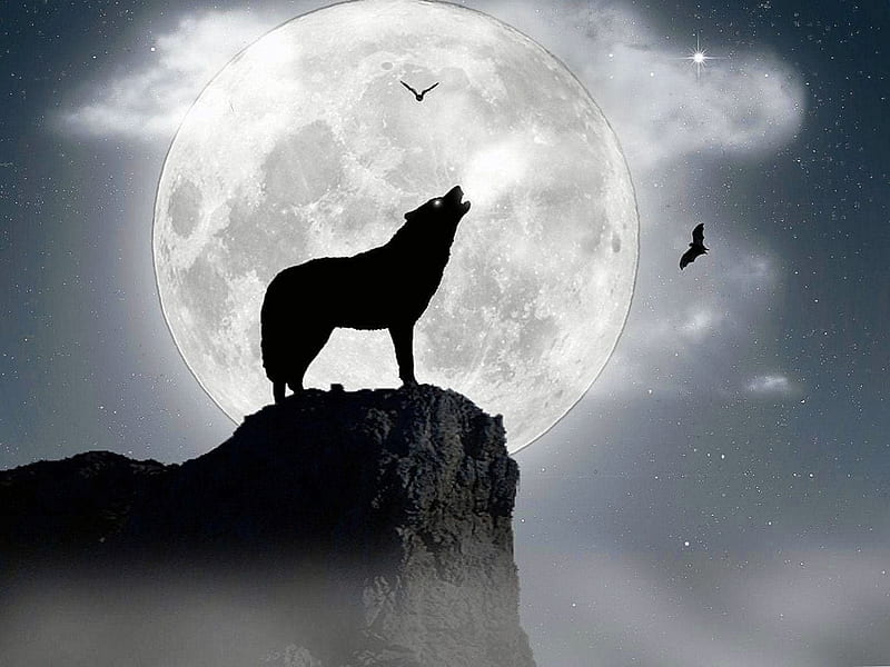 Black And White Wolf Howling At The Moon - Wolf Background, HD ...