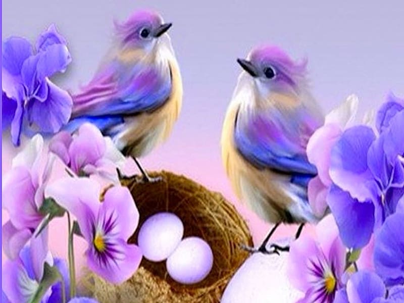 Tweetie Pies Purple3, bright, bold, flowers, eggs, colorful, birds, white, vibrant, purple, brown, vivid, HD wallpaper