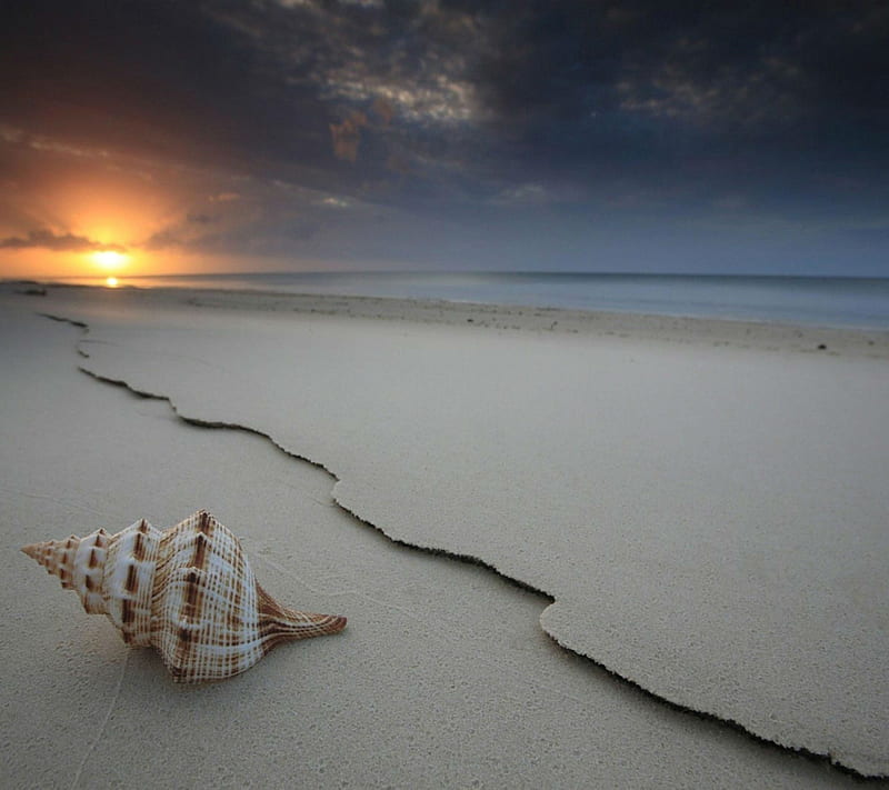 Golden Sunset , 2013, beach, evening, ocean, sandstone, sea, shell, sk, HD wallpaper