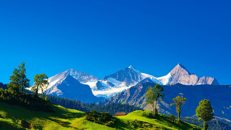 Switzerland summer, Alps, hill, mountains, HD wallpaper