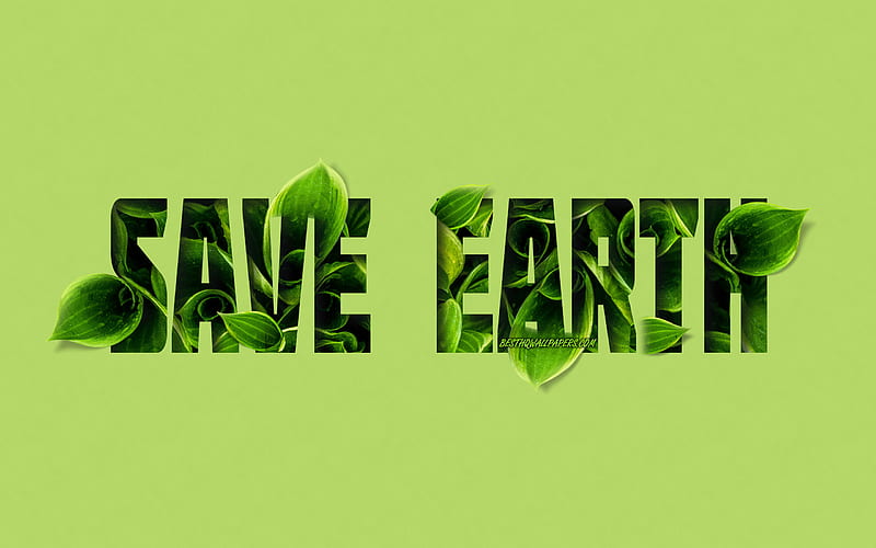 Save Earth, quotes about ecology, green leaves, eco concepts, green background, creative letters, HD wallpaper