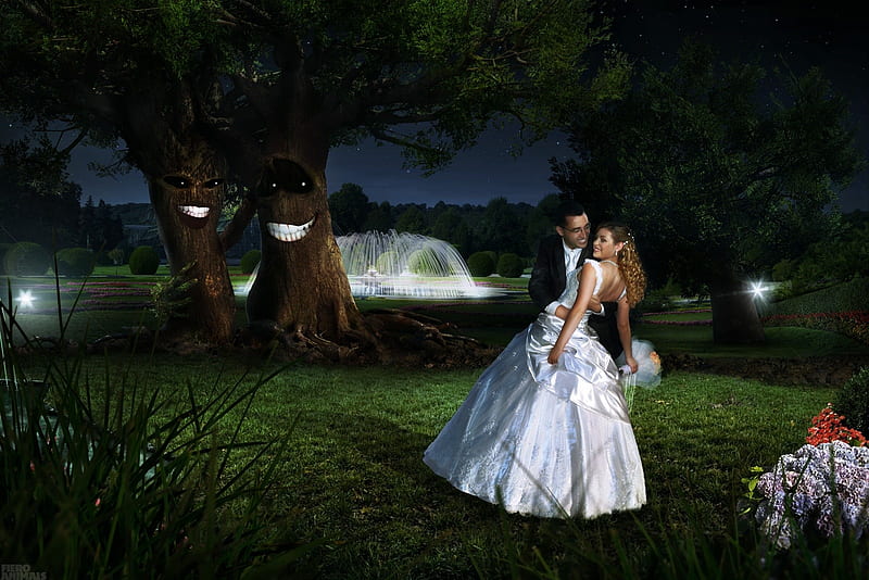 HAPPY COUPLES, art, enjoy, couples, newly weds, smile, park, trees, creative, happy, watchers, HD wallpaper