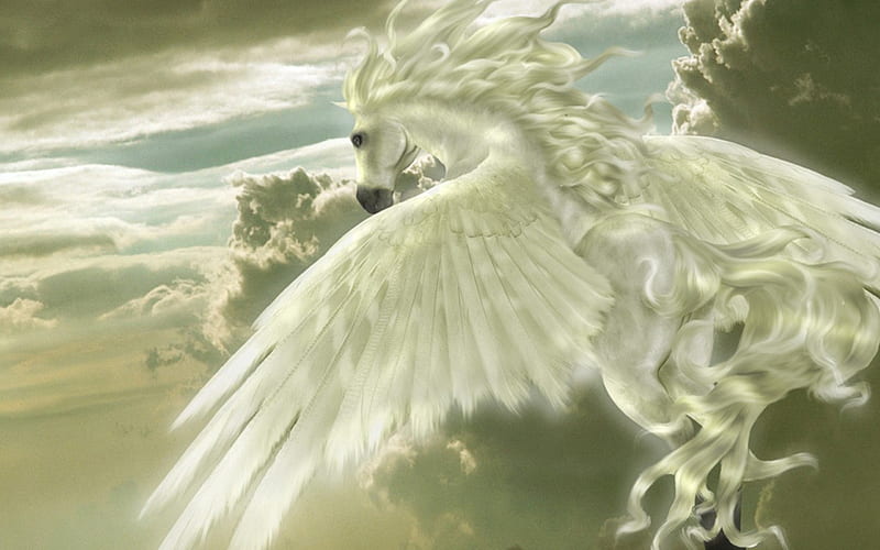 Fantasy, wings, flying, white, horse, creature, HD wallpaper
