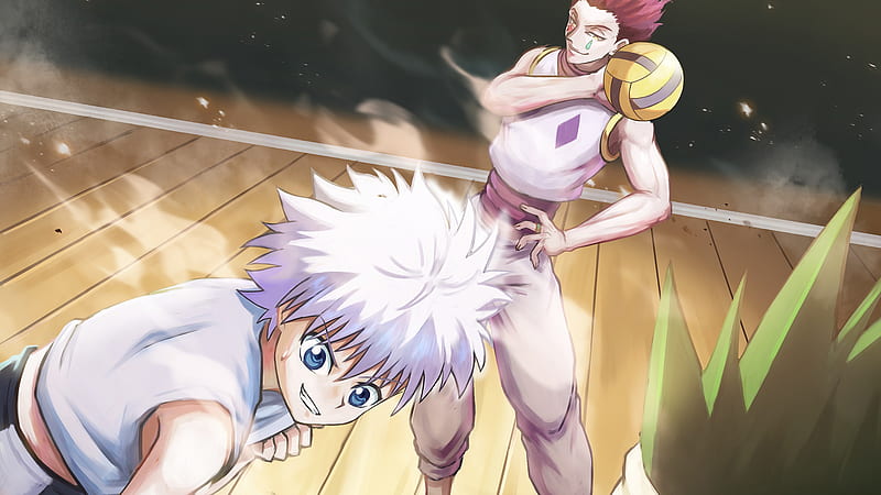 Hunter x Hunter Gon css Hisoka Killua Zoldyck Standing On Floor Anime, HD wallpaper