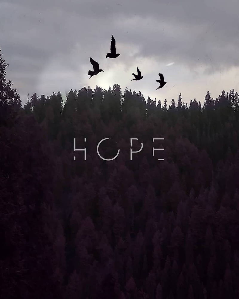 Hope, love, HD phone wallpaper