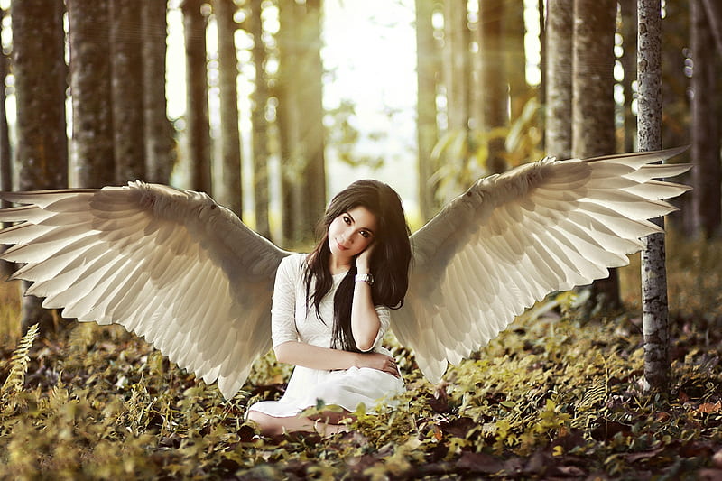 Angel Wings, forest, brunette, wings, model, HD wallpaper | Peakpx