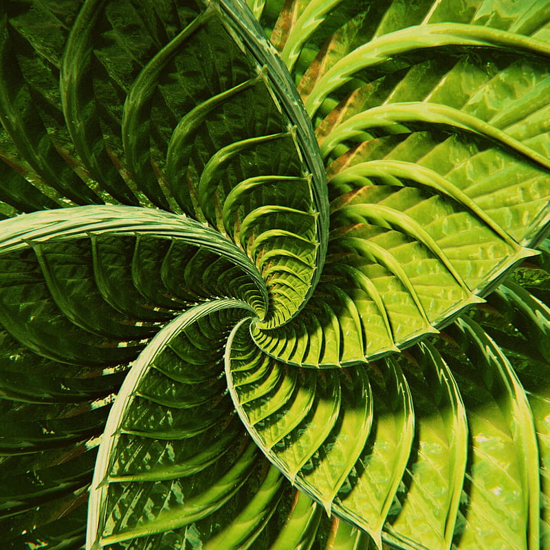 twisting, stripes, lines, green, abstraction, HD phone wallpaper