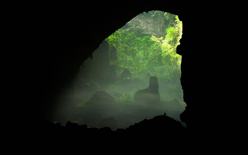 Cave, nature, trees, cavern, HD wallpaper