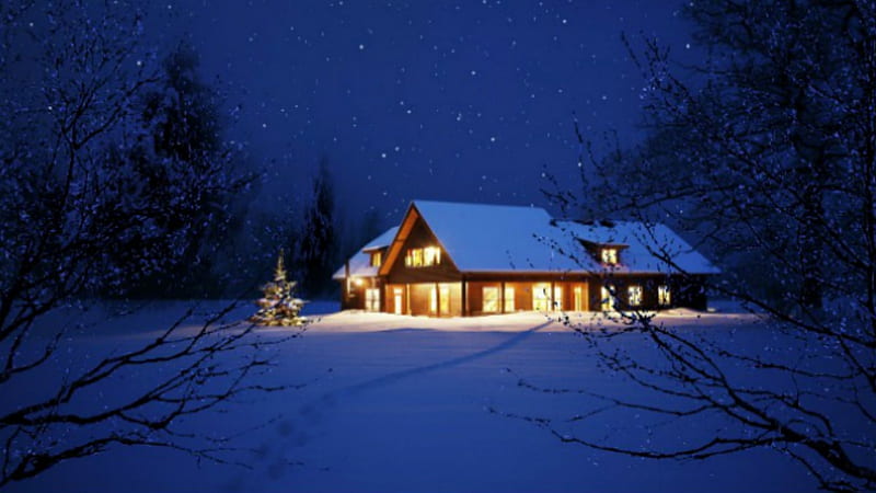 ~*~ Winter Lanscape ~*~, holidays season, snow, winter landscape, holidays greetings, happy holidays, winter night, HD wallpaper