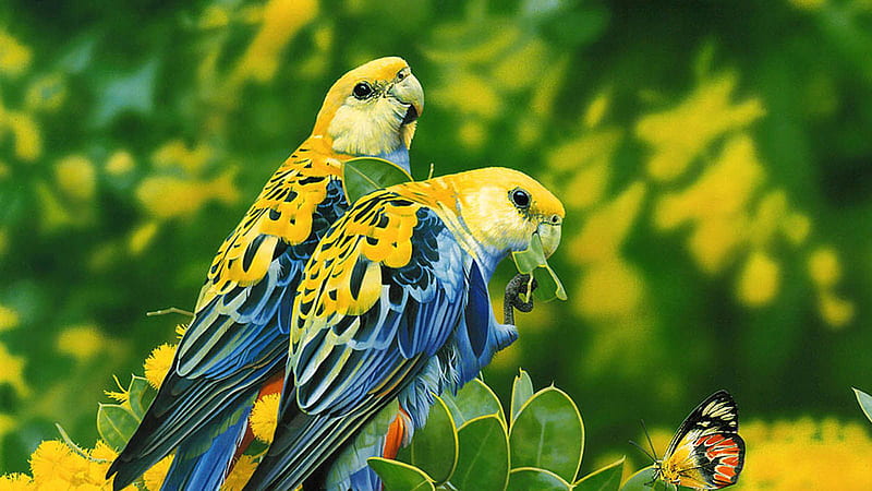 Blue Yellow Birds Are Sitting On Yellow Flowers Green Leaves Branches Birds, HD wallpaper