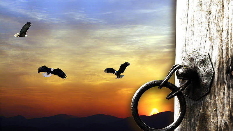 Sunset Hitching Post, eagles, flight, flying framed, birds, firefox persona, sunset, horse, sky, hitching post, mountains, ring, wood, HD wallpaper