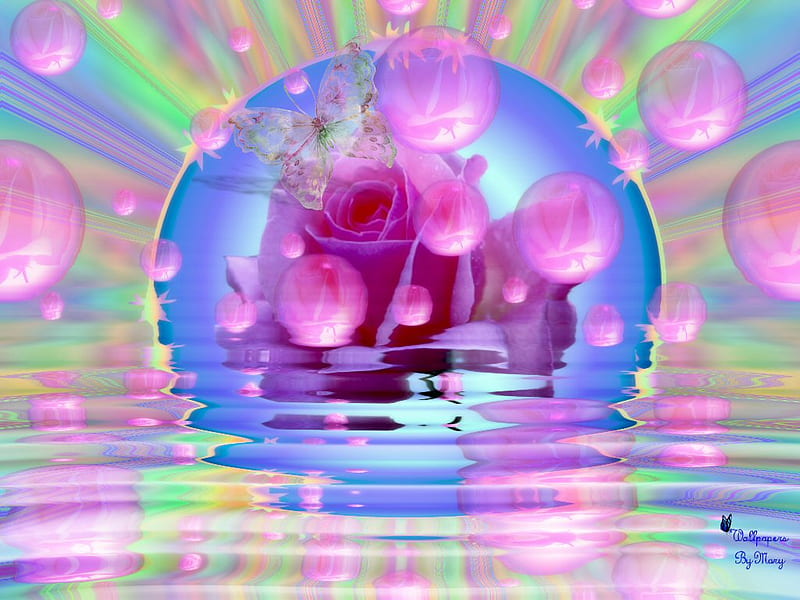 Pink Pretty, bubble, water, rose, flower, pink, HD wallpaper | Peakpx