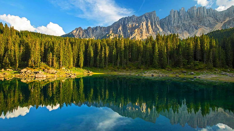 The Beauty Of Summer Alpine Lake, Alps, forest, grass, Italy, bonito, trees, lake, mountains, summer, reflection, HD wallpaper