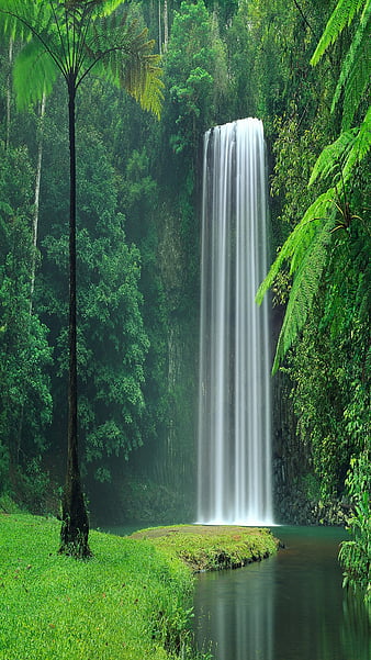 Tropical Waterfall  enchanting wall mural  Photowall
