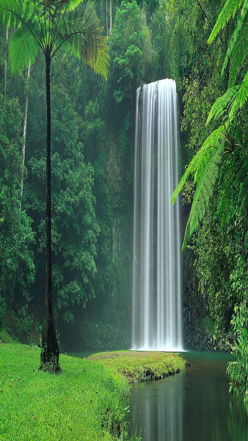 Beautiful Waterfall, 1089x1920, HD phone wallpaper