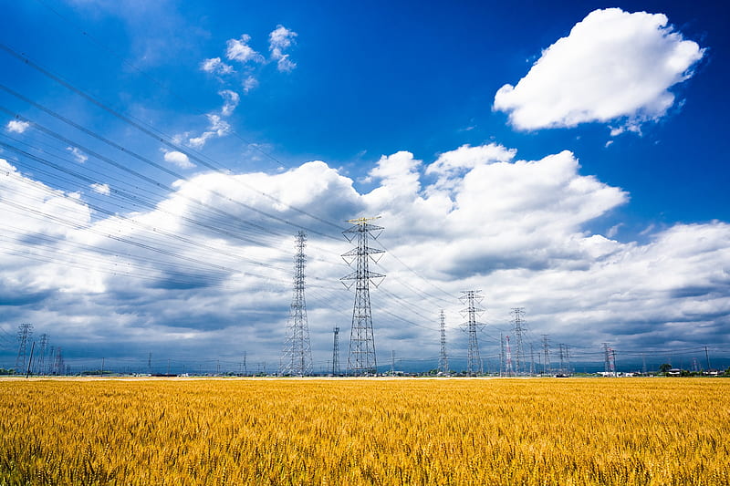 Man Made, Power Line, Cloud, Field, Sky, Wheat, HD wallpaper