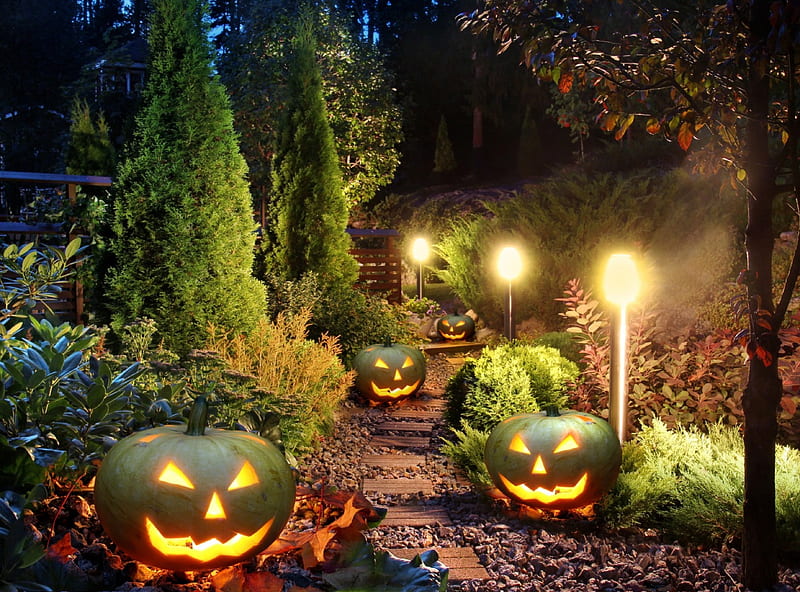 Halloween decoration, garden, decoration, lights, pumpkins, HD wallpaper