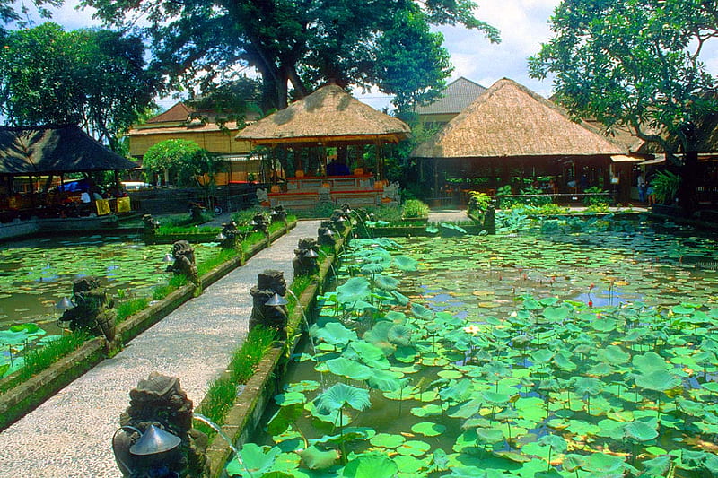 Bali-Ubud-Lotus-Pond-Restaurant-panorama, forces, ubud, nature, indonesian, bali, panorama, HD wallpaper