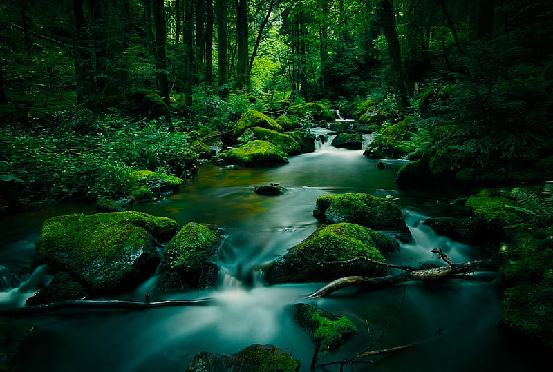 Earth, River, Forest, Greenery, Moss, Stone, HD wallpaper
