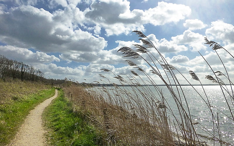 Nature Reserve, grass, path, clouds, Baltic sea, HD wallpaper