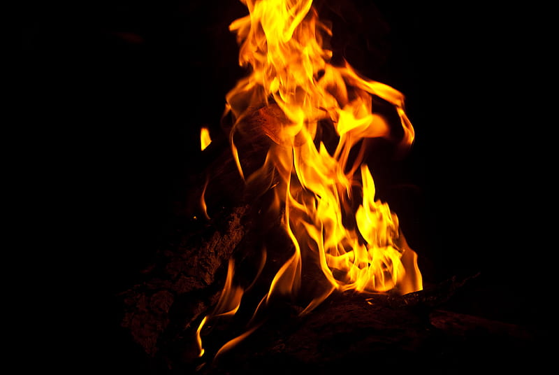 Fire, bonfire, flame, darkness, HD wallpaper | Peakpx