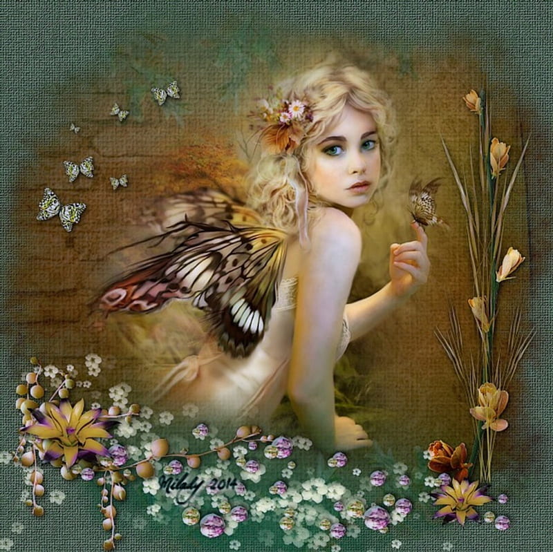 BUTTERFLY FAIRY, WINGS, FEMALE, BUTTERFLIES, FLOWERS, FAIRY, HD ...