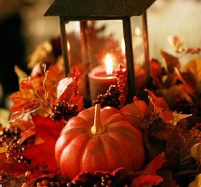 Thanksgiving Lantern, still life, fall season, lantern, nature, pumpkins, thanksgiving, HD wallpaper