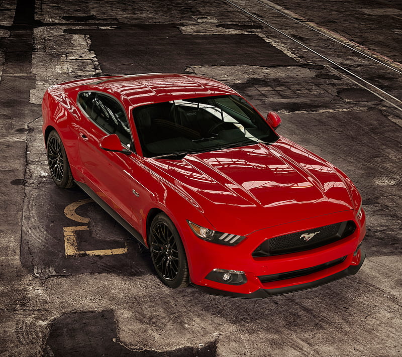 Ford Mustang, auto, car, stang, HD wallpaper