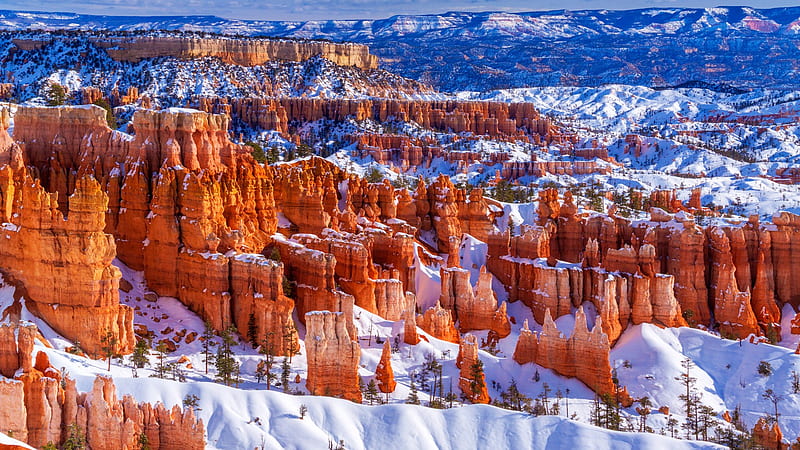 National Park, Bryce Canyon National Park, Snow, USA, Utah, Winter, HD wallpaper