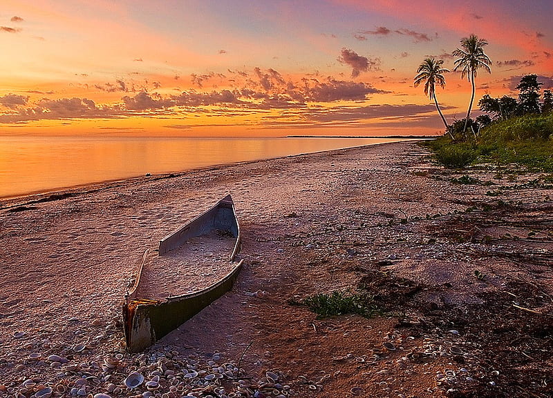 Remnants, beach, disrepair, ocean, sunset, old boat, palm trees, HD wallpaper