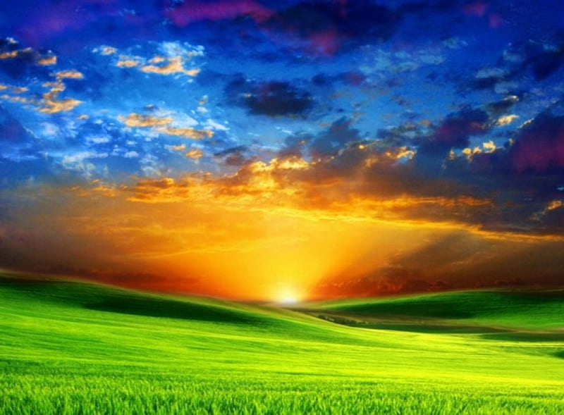 COLORFUL HORIZON, sunset, blue sky, clouds, grass, HD wallpaper