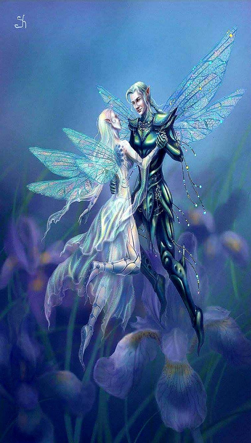 fairies in love wallpaper