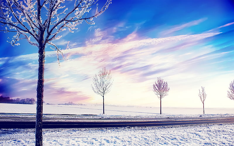 Snow Winter Trees, snow, winter, trees, nature, HD wallpaper