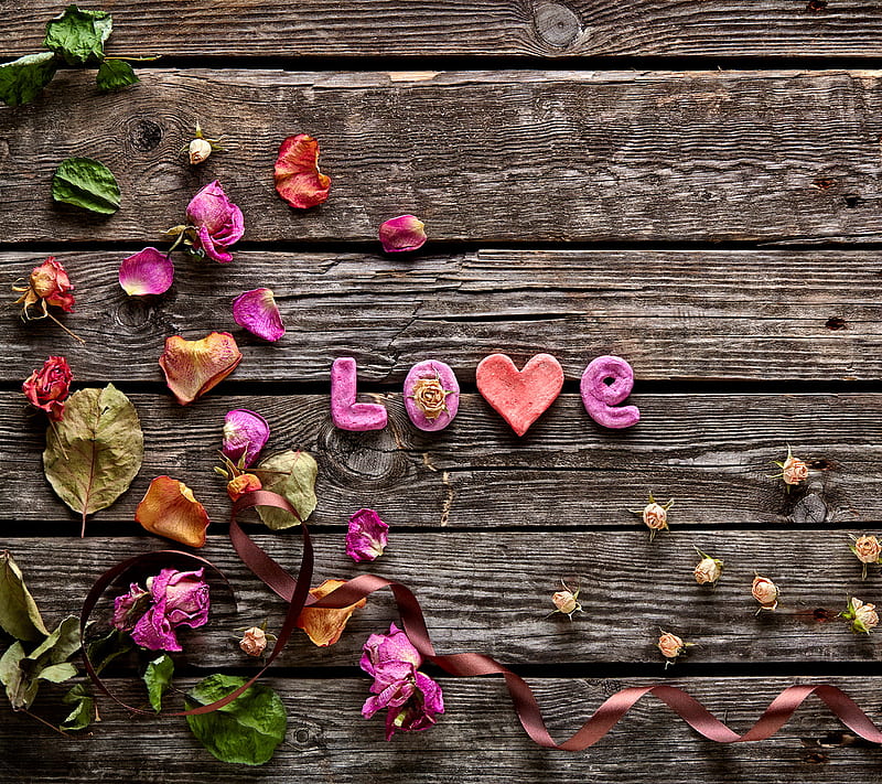 Love, petals, romance, rose, wood, HD wallpaper
