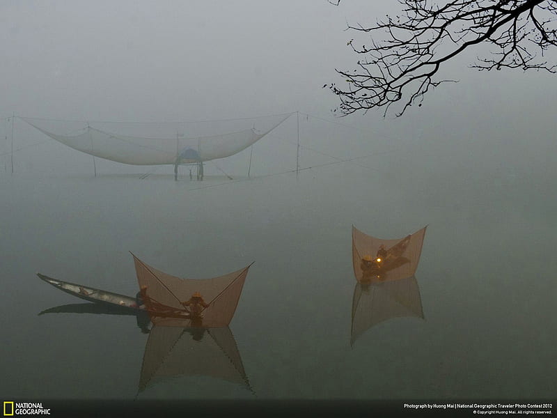 Fish net-National Geographic, HD wallpaper