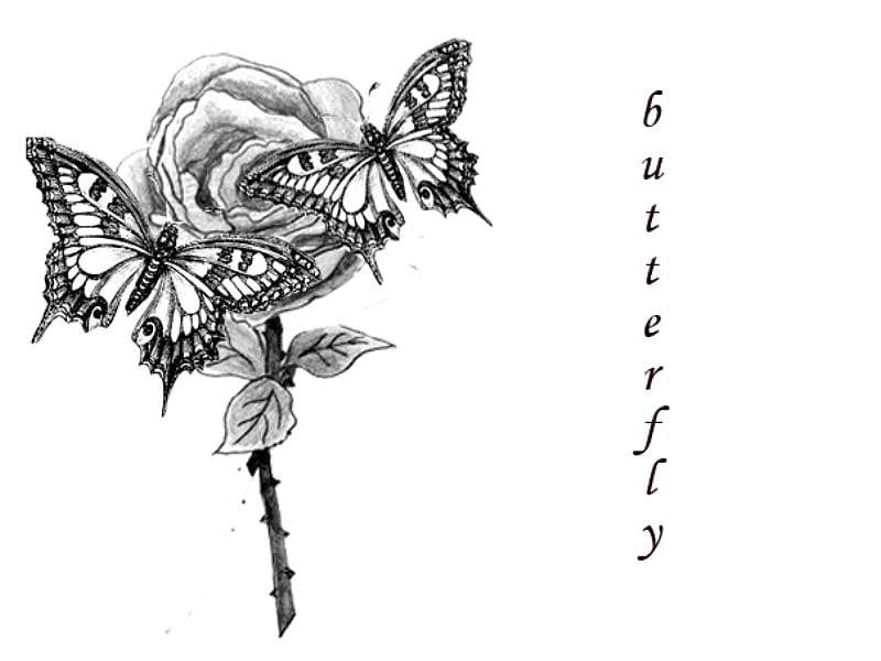 Rose with butterflies, bugs, flowers, butterfly, rose, HD wallpaper
