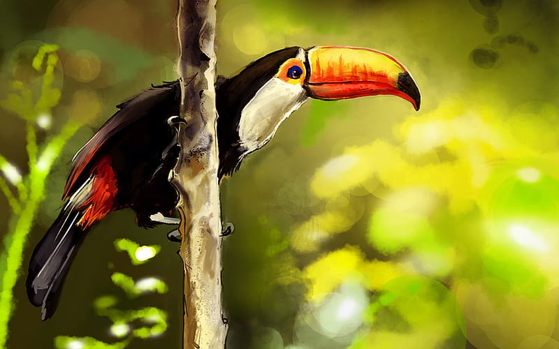 Birds, Animal, Toco Toucan, HD wallpaper