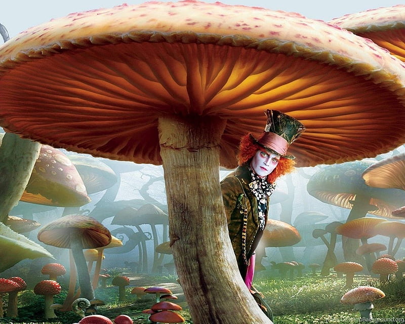 Alice Through the Looking Glass (2016), poster, movie, alice through the looking glass, mushroom, man, Johnny Depp, mad hatter, actor, HD wallpaper