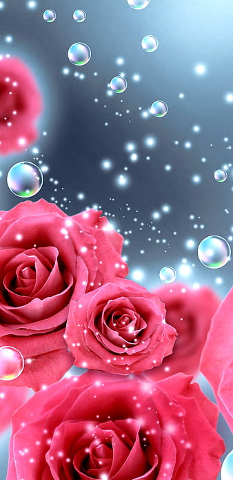 Dark BubblesNRoses, bonito, bubbles, flower, flowers, girly, magical, pink, pretty, roses, HD phone wallpaper