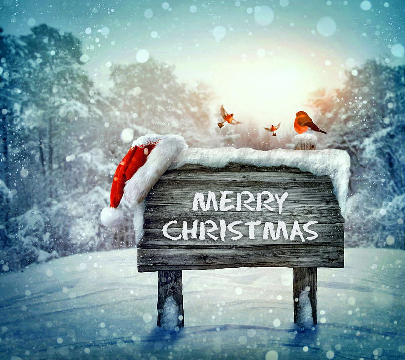 Merry Christmas, christmas, merry, snow, winter, HD wallpaper