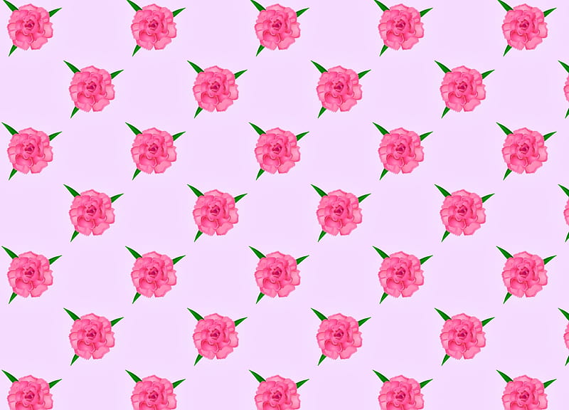 Pattern, texture, garoafe, flower, paper, carnation, pink, HD wallpaper