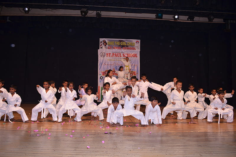 Karate, esports, Avinash, Arahans, HD wallpaper