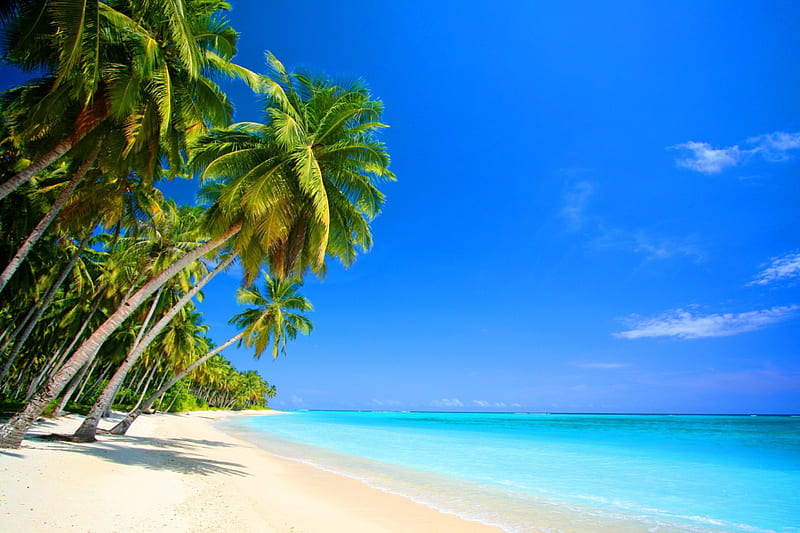 Tropical Beach, isle, shore, sun, palm, clouds, sea, palm trees, beach ...