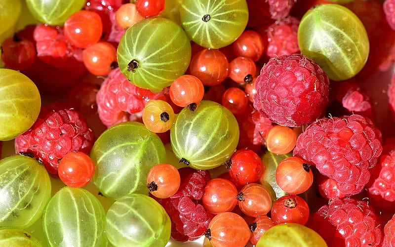 Berries, red, fruit, vara, green, berry, texture, summer, raspberry,  gooseberry, HD wallpaper | Peakpx